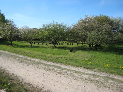 Pernille Toft Lund 1112 IMG 6216 500