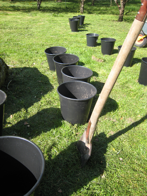 Pernille Toft Lund 1113 IMG 6222 500