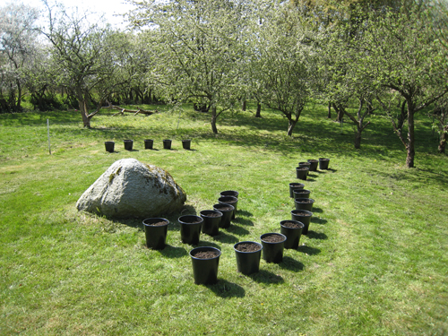 Pernille Toft Lund 1114 IMG 6234 500