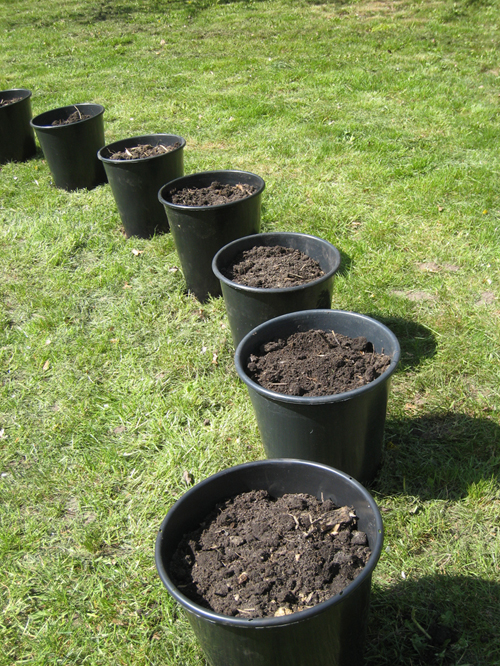 Pernille Toft Lund 1117 IMG 6246 500