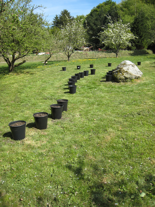 Pernille Toft Lund 1118 IMG 6253 500