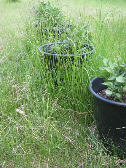 Pernille Toft Lund 1218 IMG 7771 8cm