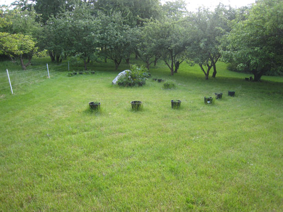 Pernille Toft Lund 1225 IMG 7815 8cm