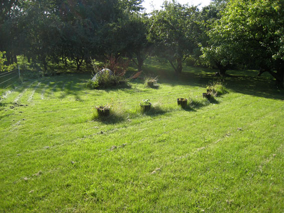 Pernille Toft Lund 1344 IMG 9117 8cm