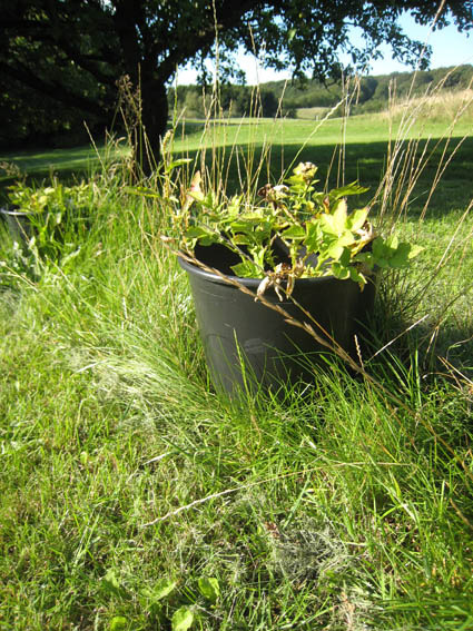 Pernille Toft Lund 1345 IMG 9124 8cm