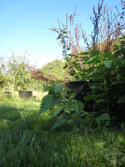 Pernille Toft Lund 1351 IMG 9140 8cm