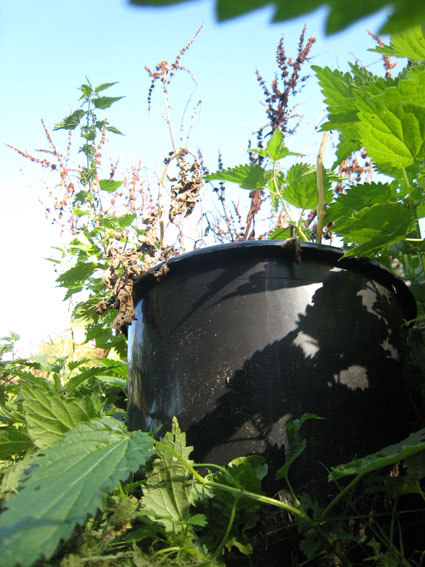 Pernille Toft Lund 1352 IMG 9141 8cm