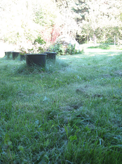 Pernille Toft Lund 1354 IMG 9149 8cm