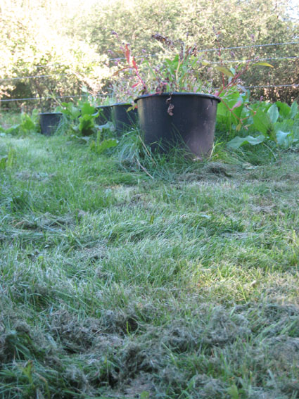 Pernille Toft Lund 1355 IMG 9150 8cm