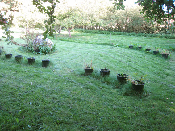 Pernille Toft Lund 1356 IMG 9154 8cm