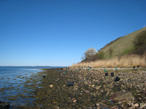 Pernille Toft Lund 1095 IMG 5825 8cm