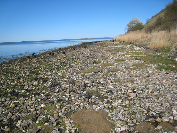 Pernille Toft Lund 1096 IMG 5829 8cm