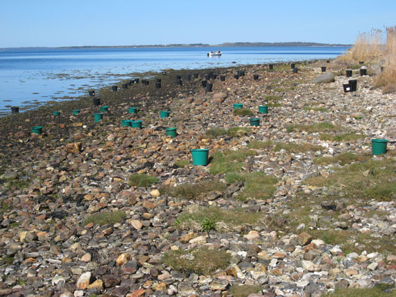 Pernille Toft Lund 1098 IMG 5831 8cm