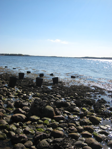 Pernille Toft Lund 1101 IMG 5851 8cm