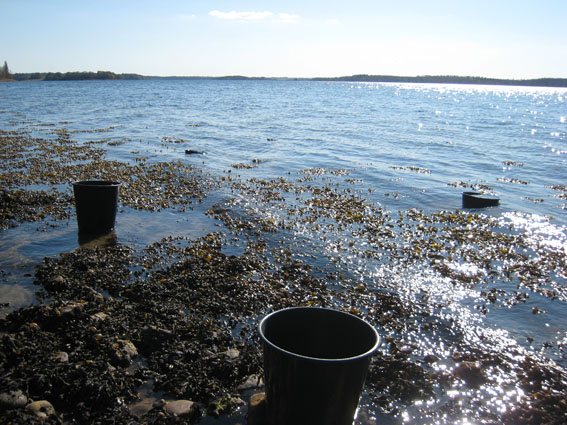 Pernille Toft Lund 1102 IMG 5885 8cm