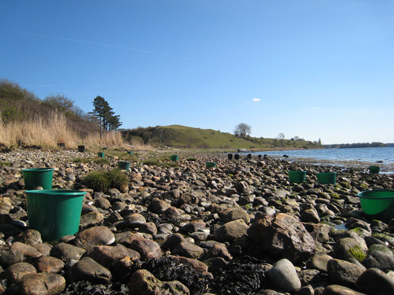 Pernille Toft Lund 1104 IMG 5903 8cm