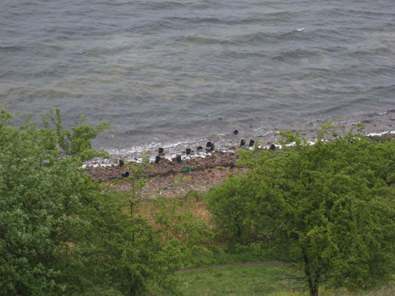 Pernille Toft Lund 1121 IMG 6277 8cm