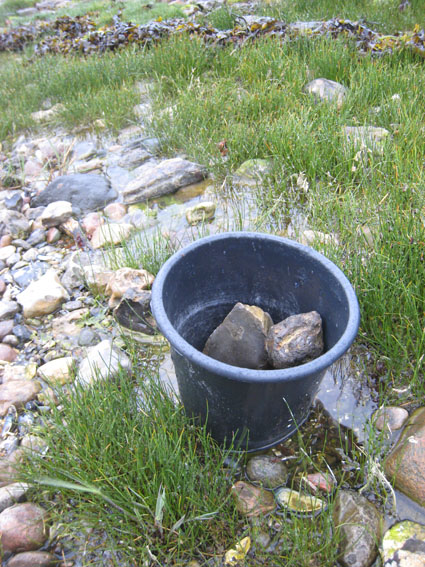 Pernille Toft Lund 1122 IMG 6302 8cm