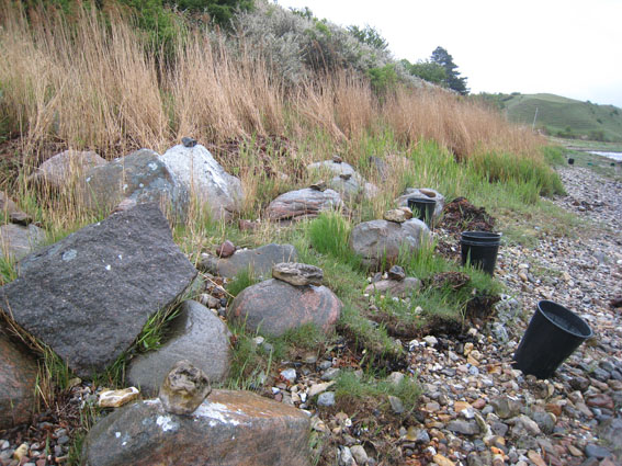 Pernille Toft Lund 1126 IMG 6327 8cm