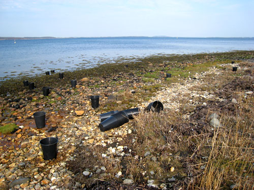 Pernille Toft Lund 1073 IMG 5666 500