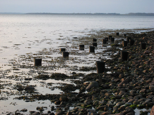 Pernille Toft Lund 1075 IMG 5758 500